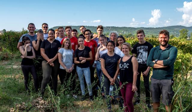 Les élèves de Louis Martin Bret aux vendanges au Château Saint Jean Lez Durance