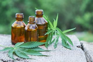 Quelques pays, comme les Etats-Unis et la Hollande, utilisent le cannabis et ses dérivés comme...