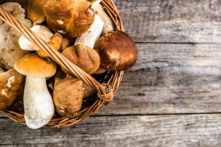 Conservez les champignons entre 0 et 4 °C et utilisez-les dans les 2 jours qui suivent la...