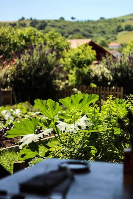 Le potager alimente en partie la carte du restaurant de Choko Ona