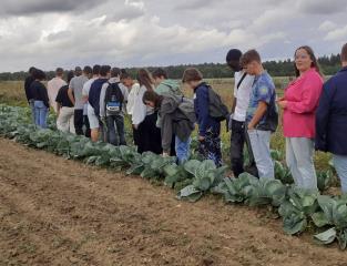 Les élèves de l'école hôtelière de saumur chez le maraîcher de la Ferme de Milly