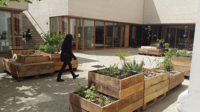 Les jardins au mois de juin