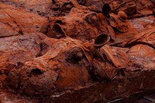 Les Hippopotames de Patrick Roger.
