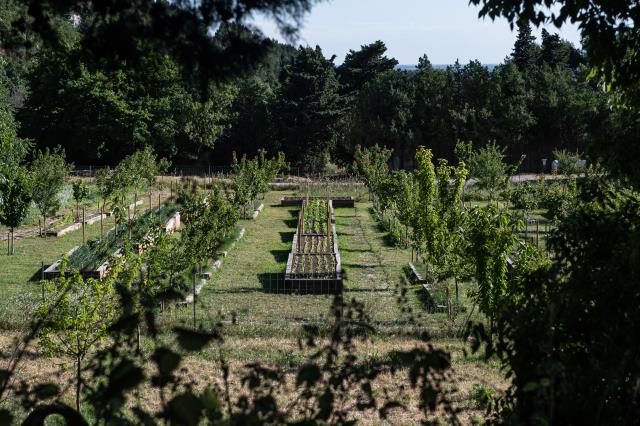 Le potager de l'Oustau de Baumanière aux Baux-de-Provence.