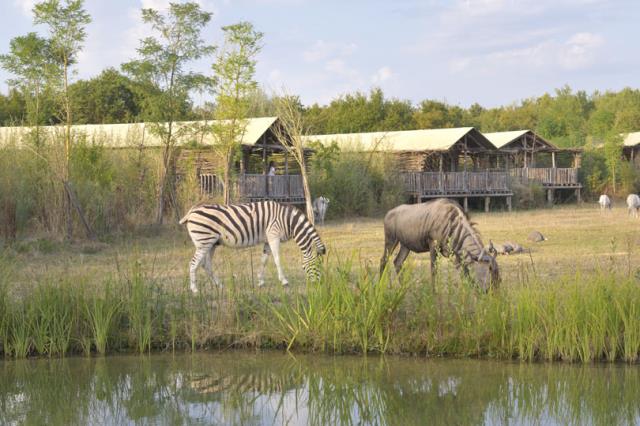 Le PAL propose des lodges au milieu des animaux sauvages. Une expérience immersive prisée par la clientèle.