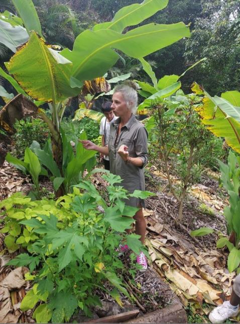 Le potager en permaculture de Séverine et Nicolas