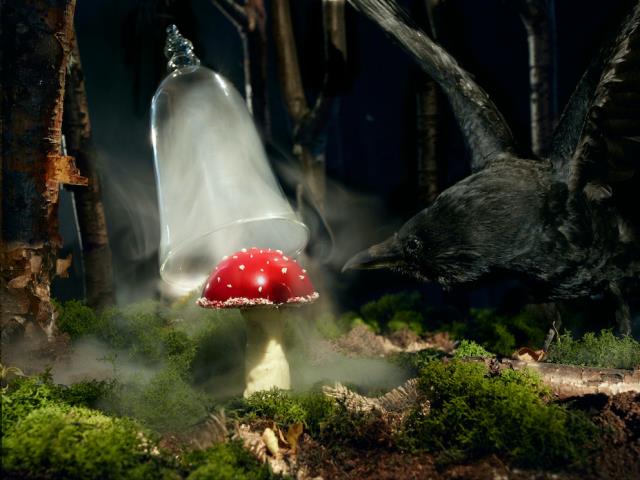 L'un des plats phares du Monarch Theatre, le 'Champignon Vénéneux'