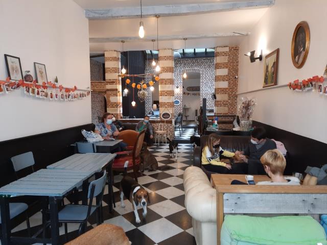 En plus de se restaurer, il est possible d'adopter les chiens du Waf ou de mettre sont chien en garderie pour 10 euros par jour.