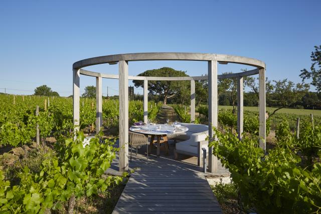 Terrasse privative au milieu des vignes, au Domaine de Verchant (34).