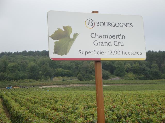 'AOC grand cru' : dans ce cas, c'est le nom du climat qui constitue l'AOC.