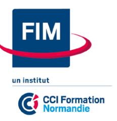 Le nouveau logo de FIM CCI Formation Normandie