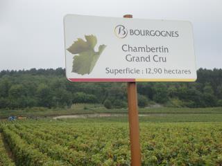'AOC grand cru' : dans ce cas, c'est le nom du climat qui constitue l'AOC.