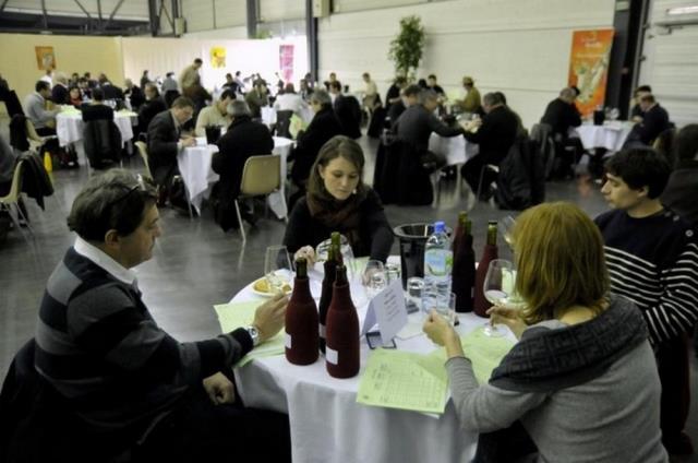 En pleine dégustation pour le concours des Ligers.