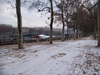 Après de fortes gelées, la neige a fait une rapide apparition sur les berges  du Rhône