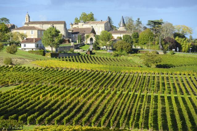 Les vignobles de Saint-Emilion.