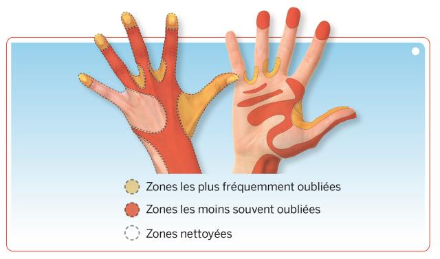 L'importance du lavage de nez