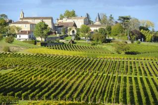 Les vignobles de Saint-Emilion.
