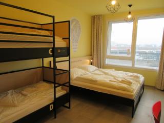La large gamme de chambres (simple, familiale, dortoir...) permet de toucher tous types de...