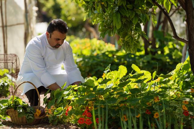 Le potager de La Mamounia, source d'inspiration pour les cuisiniers de l'hôtel mythique.