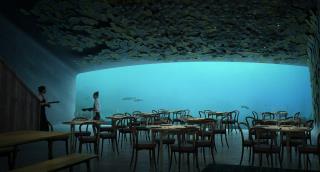 La salle à manger aquarium pourra accueillir une centaine de personnes.