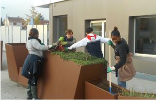 Le potager du campus de FERRANDI Saint-Gratien