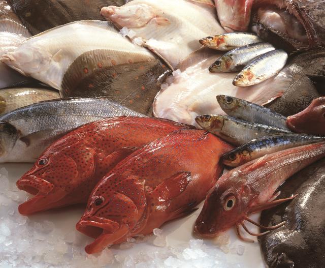 L'un des trois axes de Brake est la diversité : l'entreprise propose 80 espèces dont 62 poissons dans sa gamme 'Produits de la mer'.