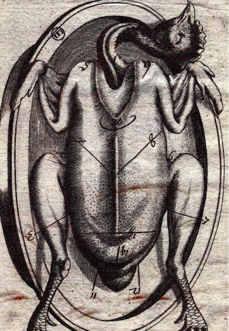 La technique de Jacques Vontet (1650) : le poulet est coupé côté (cuisse puis aile) par côté (cuisse + aile).