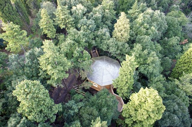 Cabane dans les bois Domaine de Fourtou à Villalier (11).