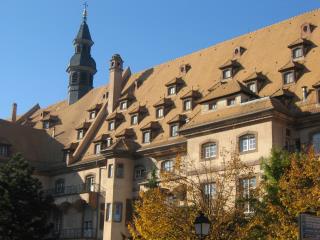 Hospices de Strasbourg