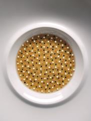 L'Oursin, fine gelée moelleuse, céleri et caviar