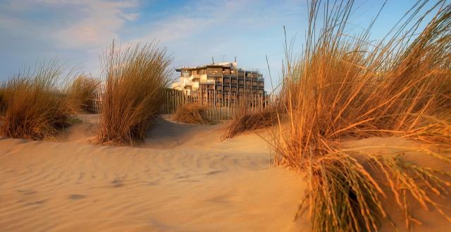 Site des Bains de Camargue.