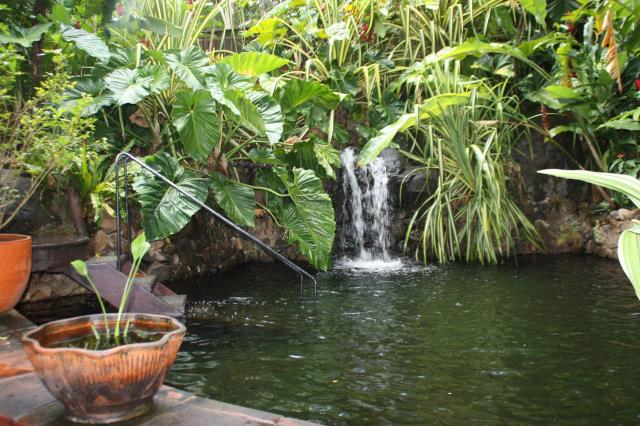 Le Spa du Tendacayou sont des bains naturels.