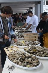 Trois établissements de Gironde ont servi un repas en plein air : 160 douzaines d'huîtres ont été...