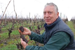 Claude Papin, vigneron passionné, dirige le Château Pierre-Bise.