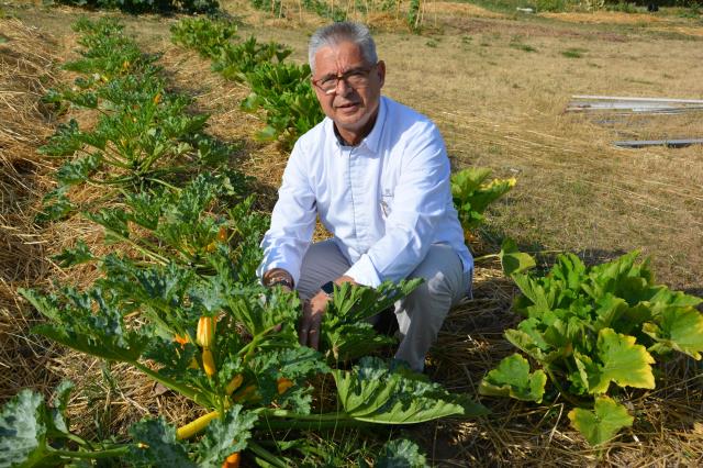 L'étoile Verte Michelin décrochée par la Côte Saint Jacques cette année salue l'engagement environnemental de l'établissement et notamment la création du potager dans lequel Jean-Michel Lorain aime puiser pour son restaurant.