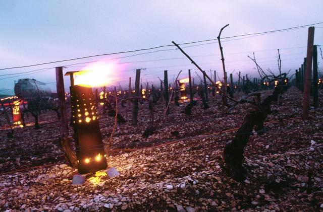 À Chablis, on chauffe les vignes pour lutter contre le gel.