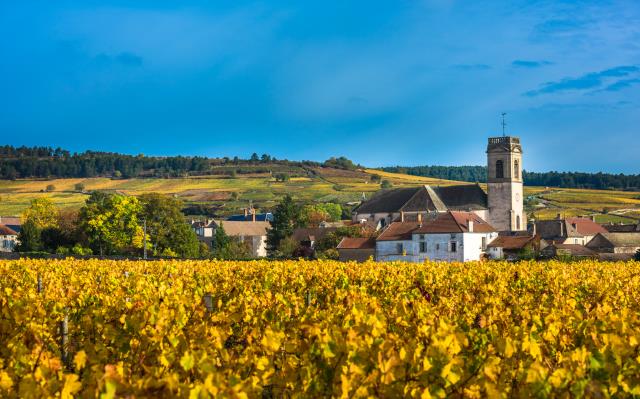 La Bourgogne à l'automne.