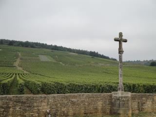 Le vignoble de la Romanée-Conti.