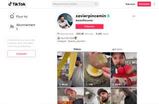 Capture d'écran du compte TikTok de Xavier Pincemin.