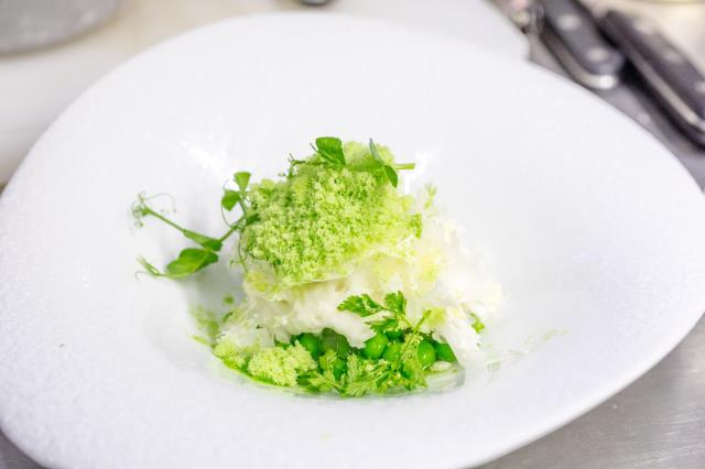 Petits pois en gelée de ses écosses, mousse de chou-fleur