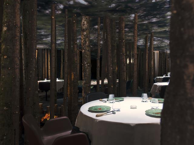 Le sous bois enchanté de l'Ursus ou 390 arbres dans une salle de restaurant