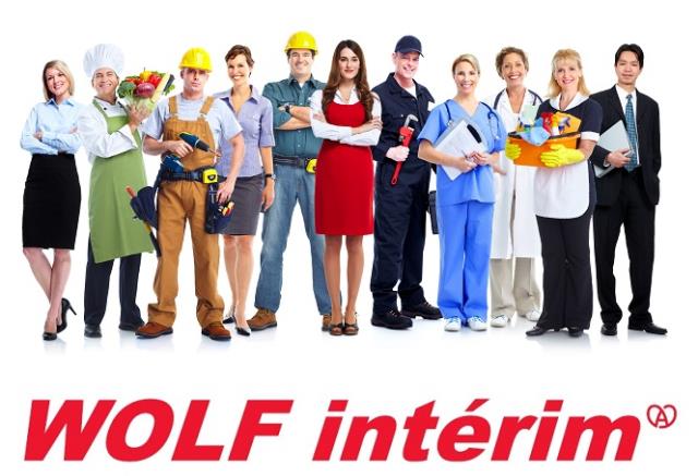Logo Wolf Interim