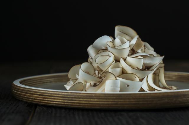 Envolée de champignons.