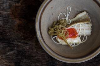 Lotte du Léman, céleri, pomme sauvage et sureau au vinaigre