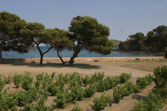 Le site exceptionnel du Clos des Paulilles