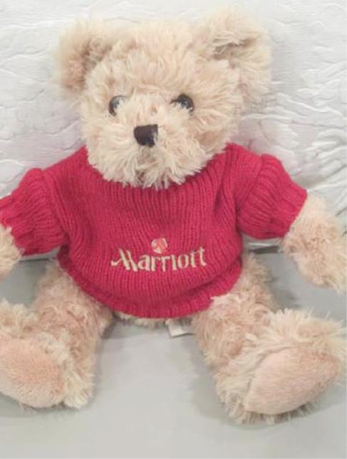 Les bénéfices de la vente de Marcel, un adorable ourson en peluche seront intégralement reversés à l'association.