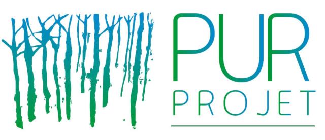 Pur Projet