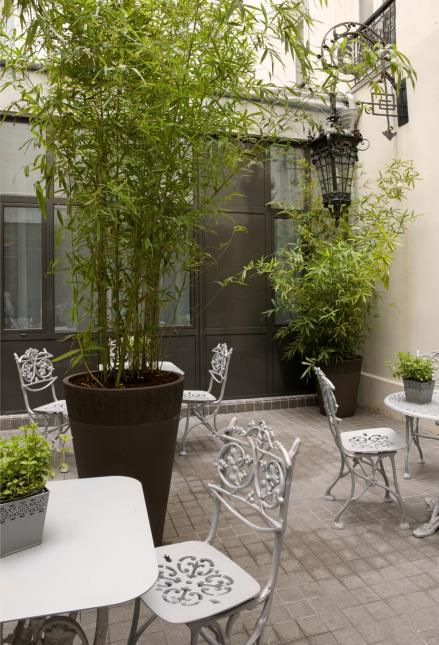 Le patio flanqué d'arbres est un espace bien-être extérieur.