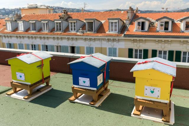 A Nice, l'hôtel Florence pousse la démarche au point d'avoir installé des ruches sur son toit