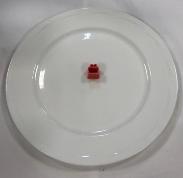 Deuxième prix :  Maria Grazia Penan, Pérou : 3D Savory Present